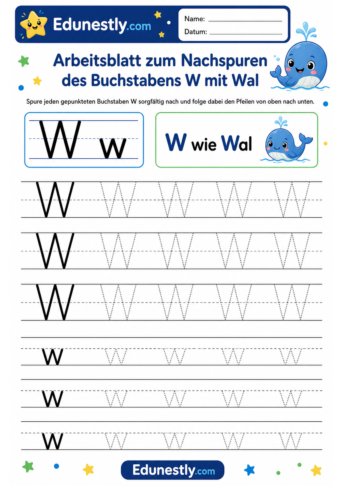 Arbeitsblatt zum Nachspuren des Buchstabens W mit Wal