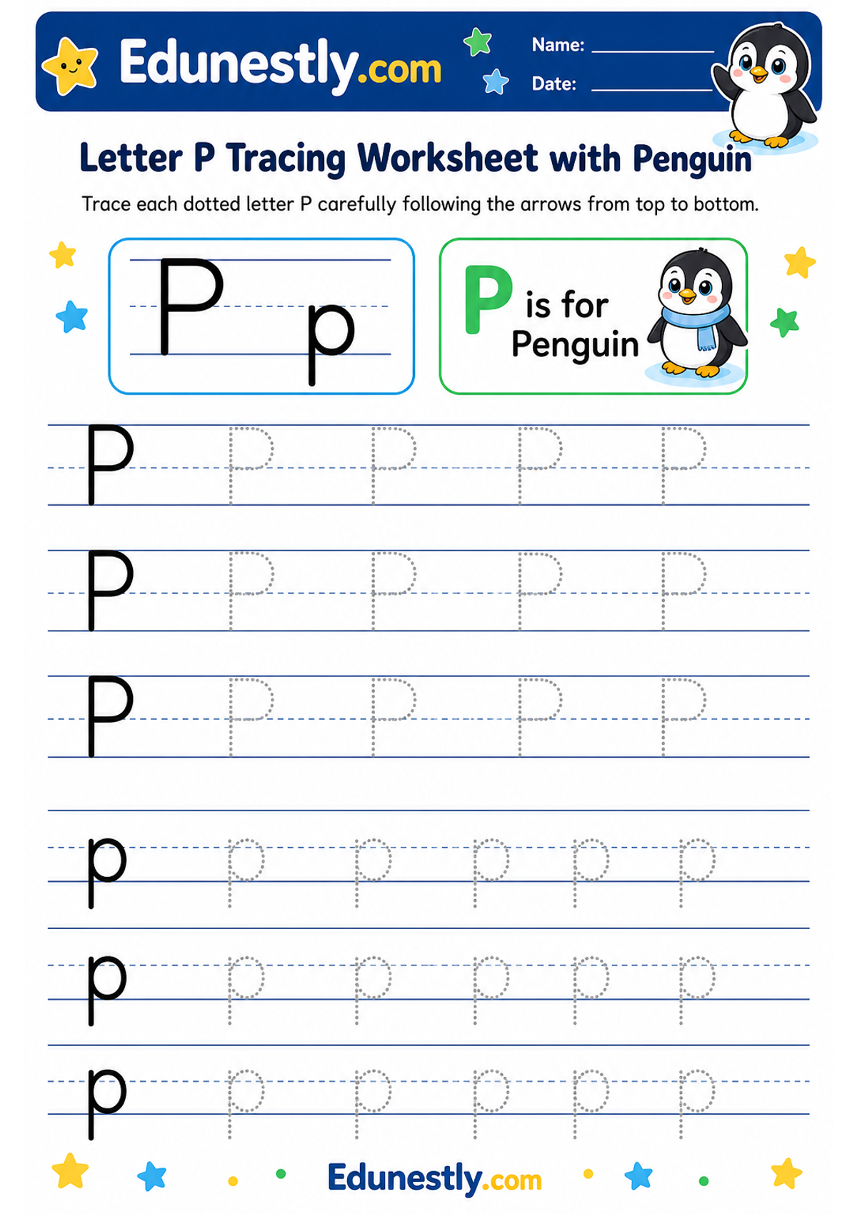 Letter P Tracing Worksheet with Penguin