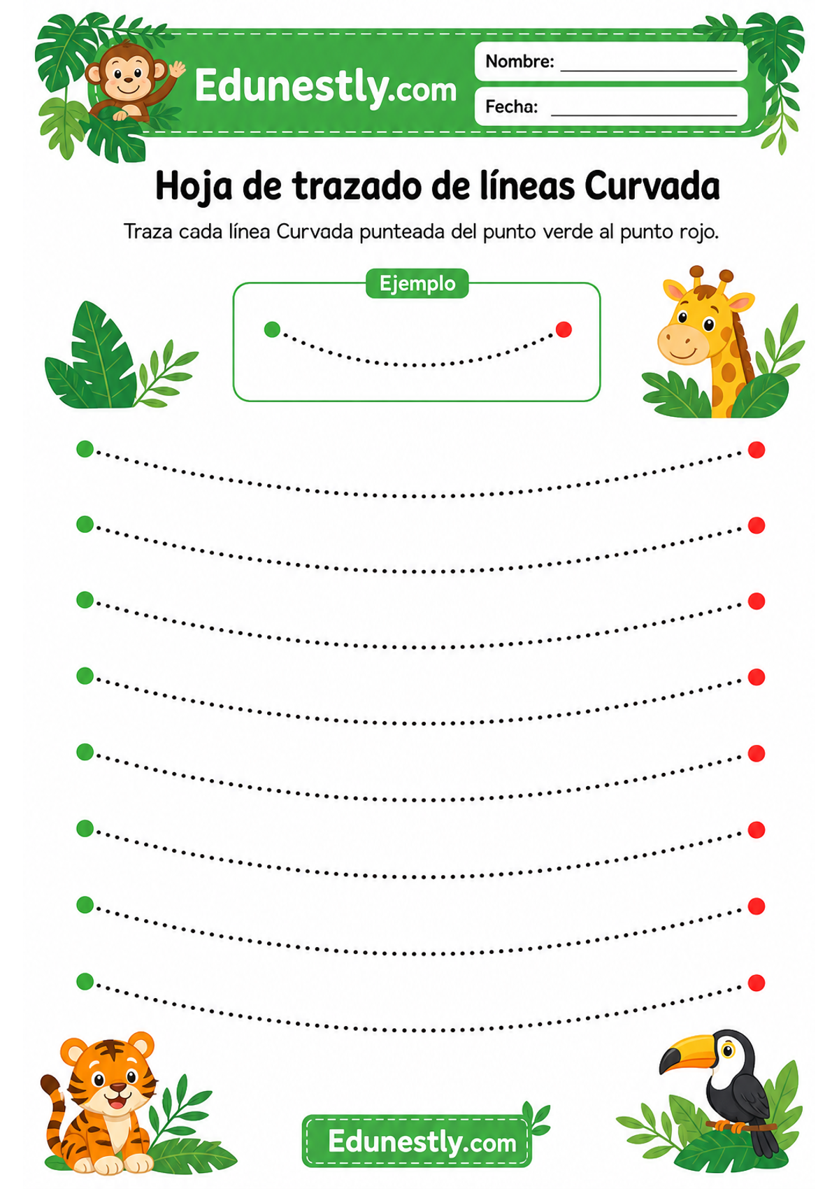 Hoja de trazado de líneas Curvada