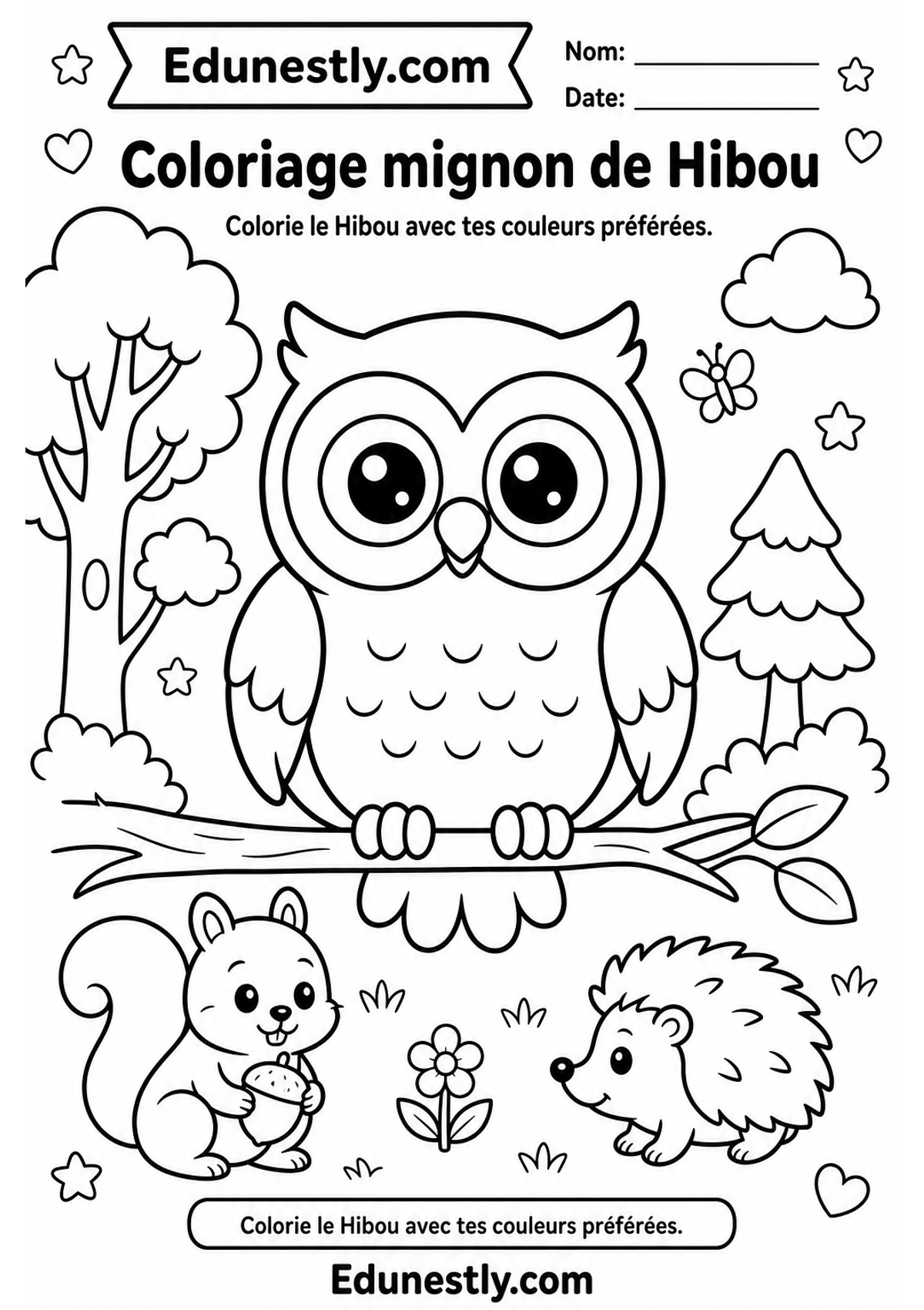 Coloriage mignon de Hibou