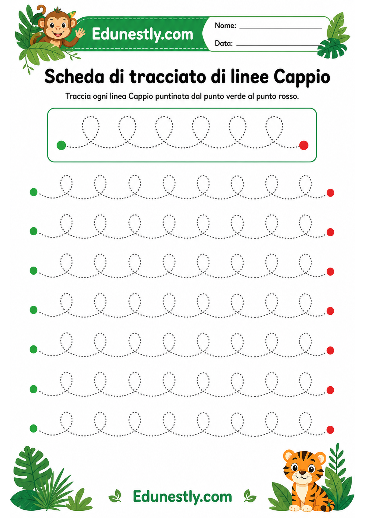 Scheda di tracciato di linee Cappio