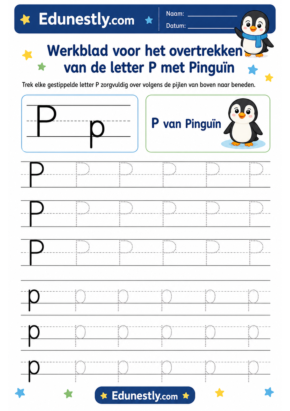 Werkblad voor het overtrekken van de letter P met Pinguïn