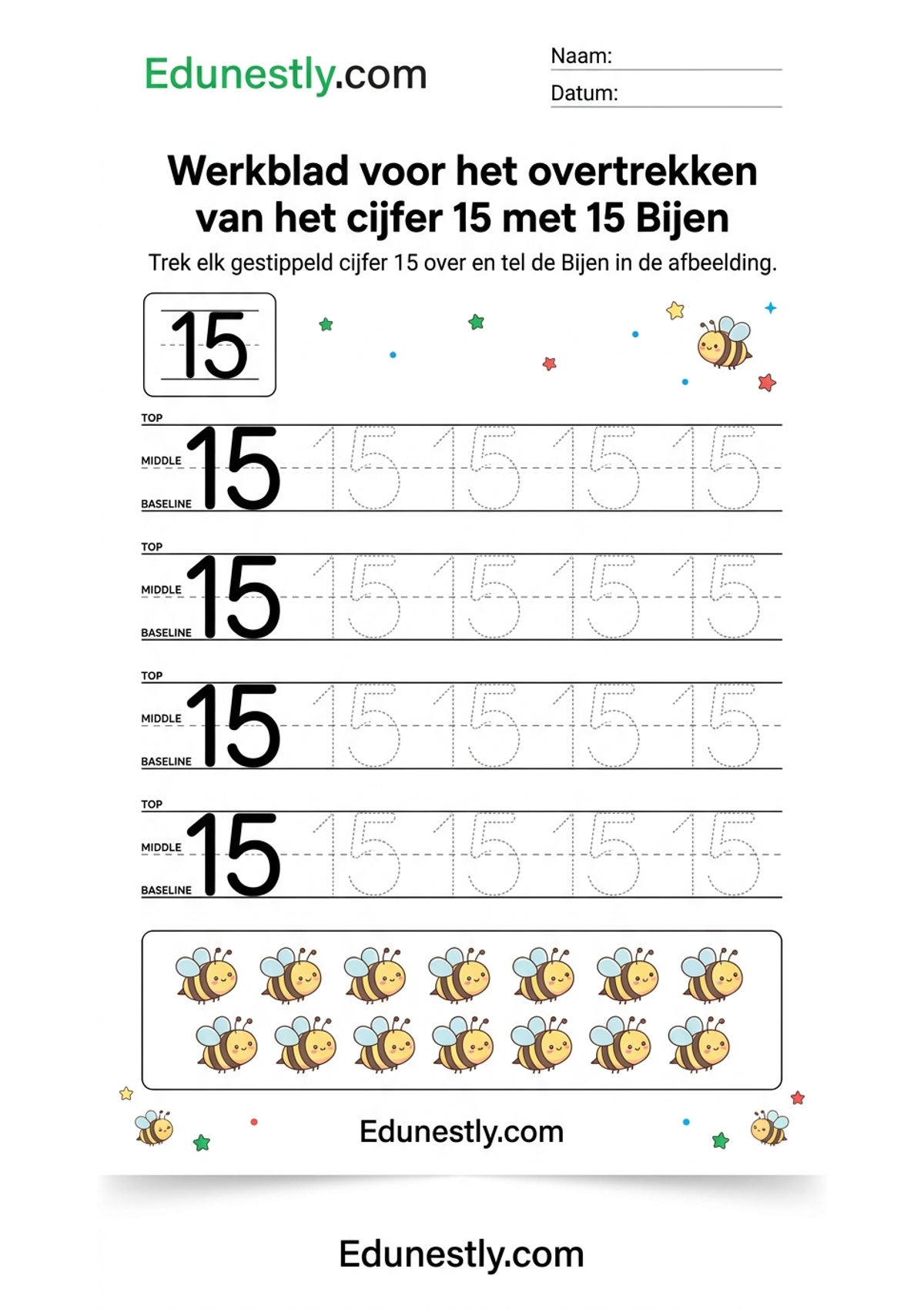 Werkblad voor het overtrekken van het cijfer 15 met 15 Bijen