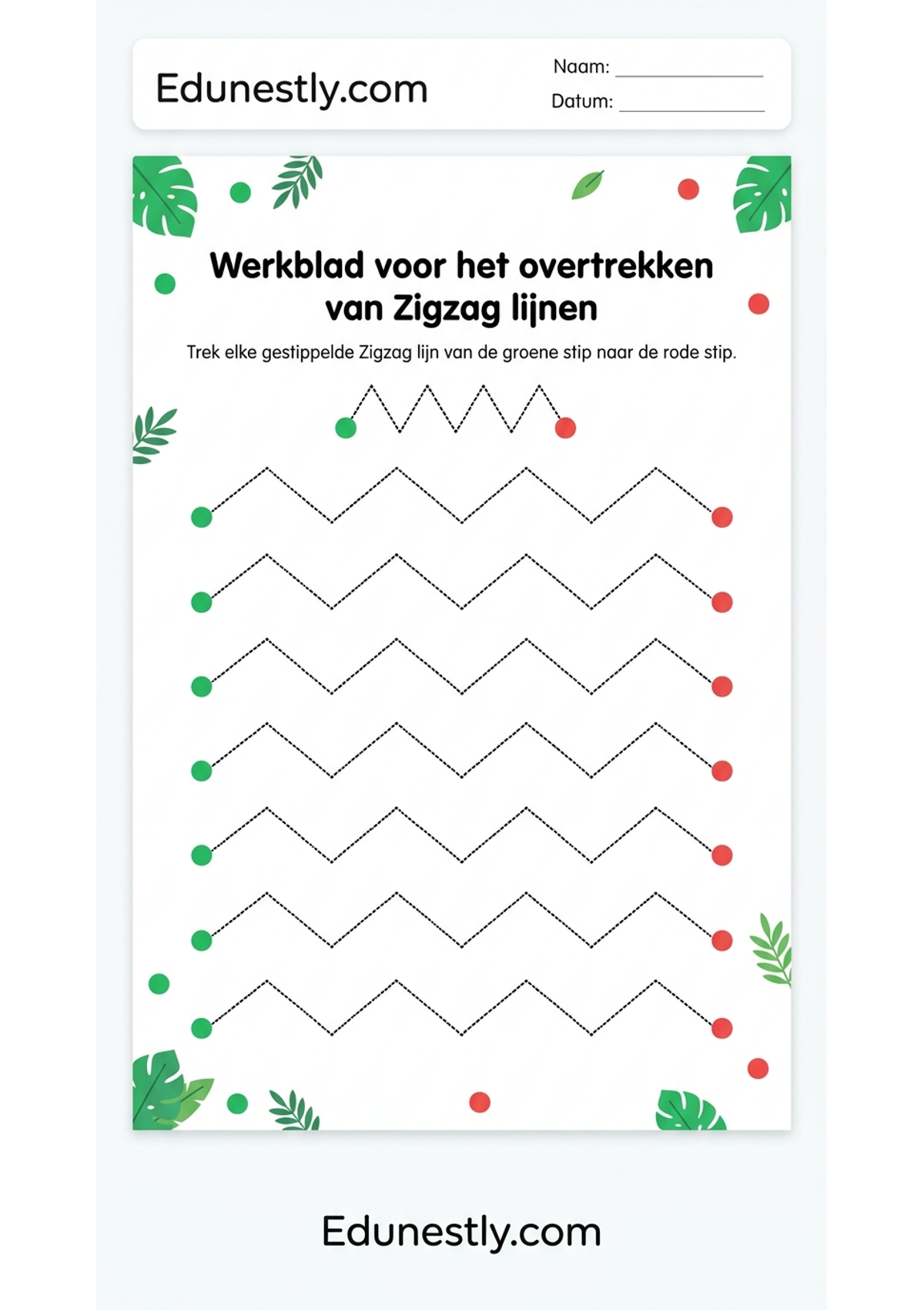 Werkblad voor het overtrekken van Zigzag lijnen