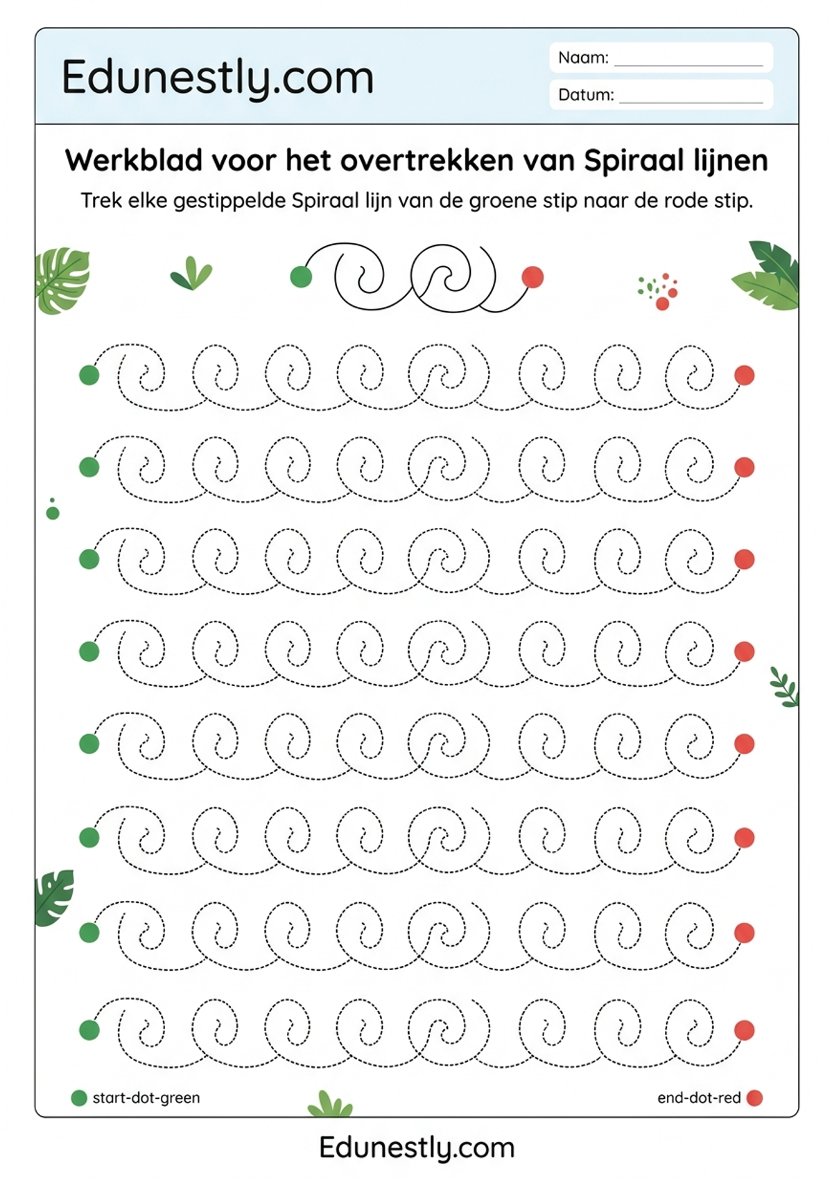 Werkblad voor het overtrekken van Spiraal lijnen