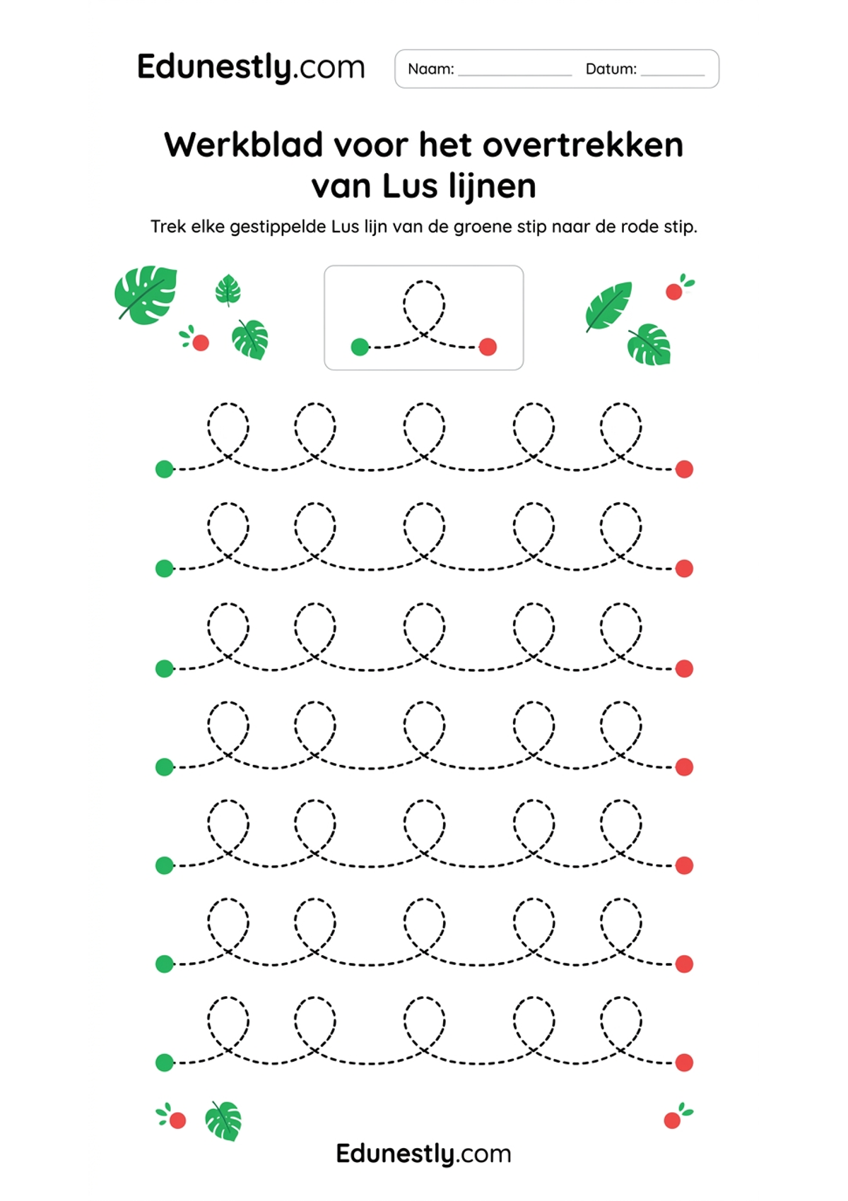 Werkblad voor het overtrekken van Lus lijnen