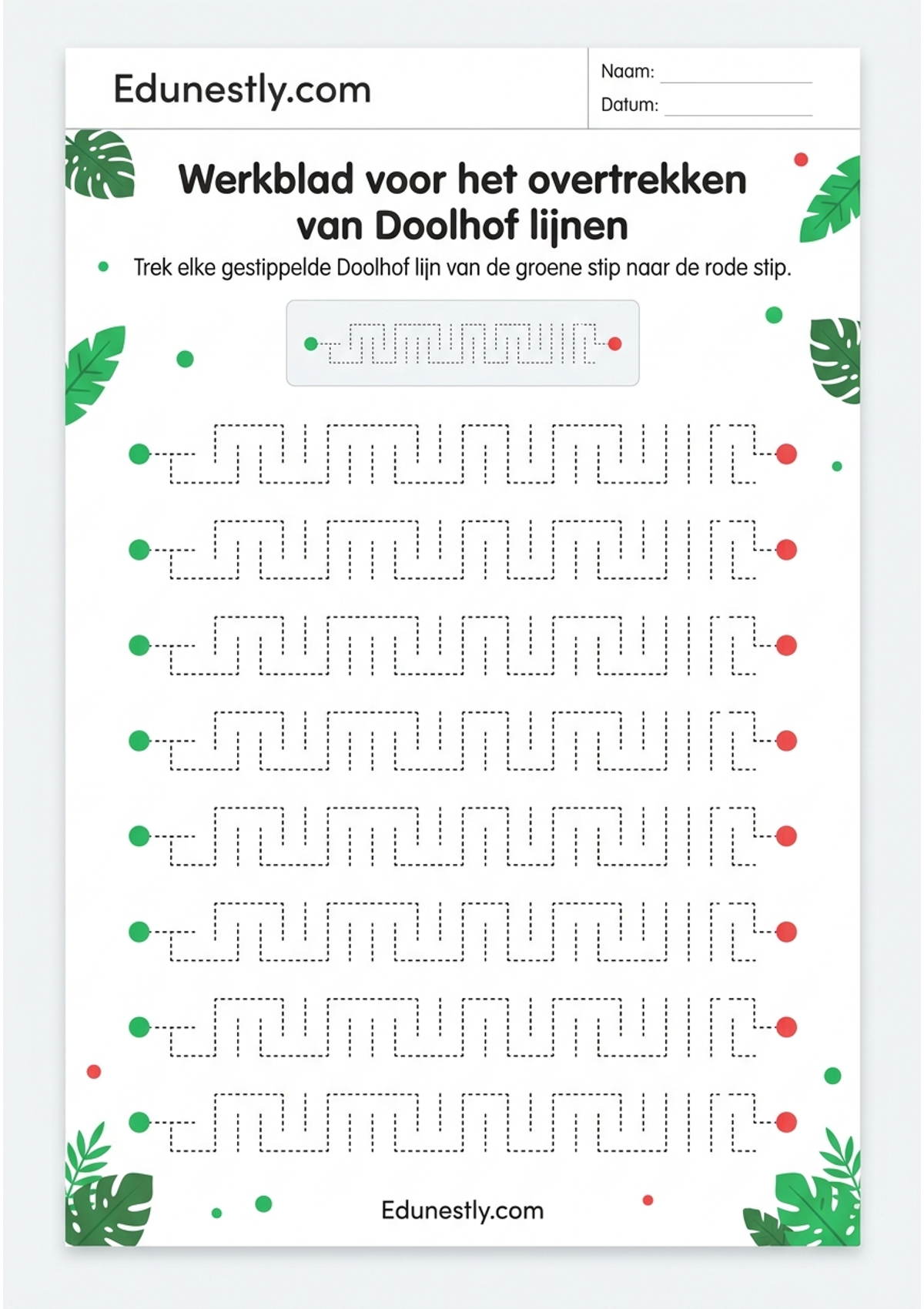 Werkblad voor het overtrekken van Doolhof lijnen