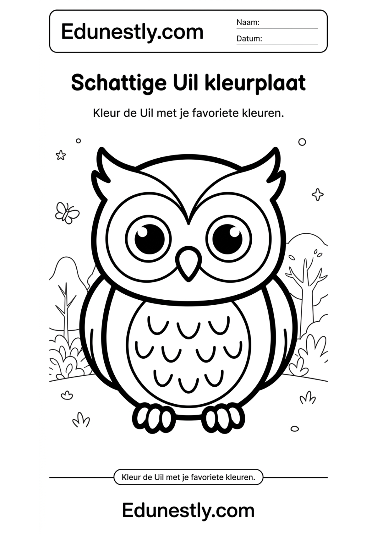 Schattige Uil kleurplaat